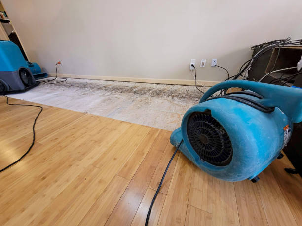Professional Sewage Cleanup technician working in Camden, MS